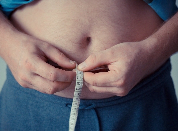 How Much Inulin Powder per Day for Weight Loss.png How Much Inulin Powder per Day for Weight Loss.png